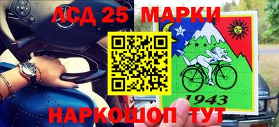 гашик Будённовск