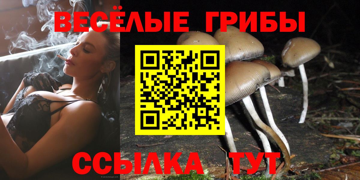 Псилоцибиновые грибы ЛСД  Вход с VPN  Ишимбай 